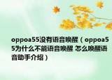 oppoa55沒有語音喚醒（oppoa55為什么不能語音喚醒 怎么喚醒語音助手介紹）