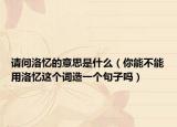 請問洛憶的意思是什么（你能不能用洛憶這個詞造一個句子嗎）