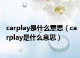 carplay是什么意思（carplay是什么意思）