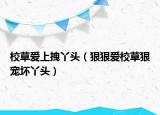 校草愛(ài)上拽丫頭（狠狠愛(ài)校草狠寵壞丫頭）