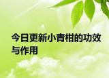 今日更新小青柑的功效與作用