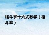 格斗拳十六式教學(xué)（格斗拳）
