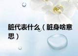 臟代表什么（臟身啥意思）