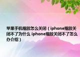 蘋果手機縮放怎么關閉（iphone縮放關閉不了為什么 iphone縮放關閉不了怎么辦介紹）