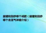 拔罐和刮痧哪個(gè)減肥（拔罐和刮痧哪個(gè)去濕氣詳細(xì)介紹）