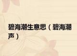碧海潮生意思（碧海潮聲）