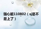 強(qiáng)心臟110802（sj是不是上了）