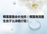 榴蓮里面會長蟲嗎（榴蓮有洞是生蟲子么詳細(xì)介紹）