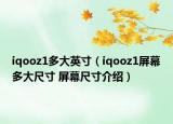 iqooz1多大英寸（iqooz1屏幕多大尺寸 屏幕尺寸介紹）