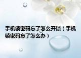 手機鎖密碼忘了怎么開鎖（手機鎖密碼忘了怎么辦）