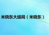 米曉東大結(jié)局（米曉東）
