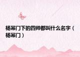 楊冪門下的四帥都叫什么名字（楊冪門）