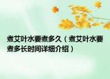 煮艾葉水要煮多久（煮艾葉水要煮多長時間詳細介紹）