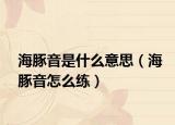 海豚音是什么意思（海豚音怎么練）