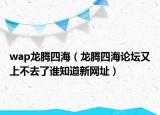 wap龍騰四海（龍騰四海論壇又上不去了誰知道新網(wǎng)址）