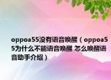 oppoa55沒(méi)有語(yǔ)音喚醒（oppoa55為什么不能語(yǔ)音喚醒 怎么喚醒語(yǔ)音助手介紹）