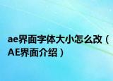 ae界面字體大小怎么改（AE界面介紹）