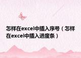 怎樣在excel中插入序號（怎樣在excel中插入進度條）