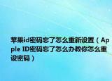 蘋果id密碼忘了怎么重新設(shè)置（Apple ID密碼忘了怎么辦教你怎么重設(shè)密碼）