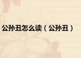 公孫丑怎么讀（公孫丑）