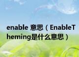 enable 意思（EnableTheming是什么意思）