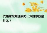 六姓家奴叛徒實(shí)力（六姓家奴是什么）