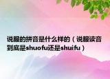 說(shuō)服的拼音是什么樣的（說(shuō)服讀音到底是shuofu還是shuifu）