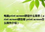 電腦print screen鍵是什么意思（print screen鍵在哪 print screen怎么操作介紹）