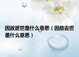 因故逝世是什么意思（因故去世是什么意思）