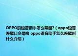 OPPO的語音助手怎么喚醒?（oppo語音喚醒口令是啥 oppo語音助手怎么喚醒叫什么介紹）