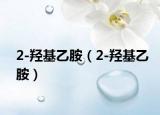 2-羥基乙胺（2-羥基乙胺）