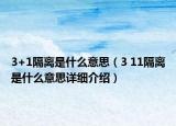 3+1隔離是什么意思（3 11隔離是什么意思詳細(xì)介紹）