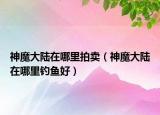 神魔大陸在哪里拍賣（神魔大陸在哪里釣魚好）