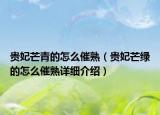 貴妃芒青的怎么催熟（貴妃芒綠的怎么催熟詳細(xì)介紹）