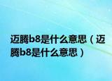 邁騰b8是什么意思（邁騰b8是什么意思）