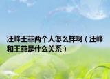 汪峰王菲兩個(gè)人怎么樣?。ㄍ舴搴屯醴剖鞘裁搓P(guān)系）