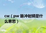 cw（pw 脈沖射頻是什么意思）