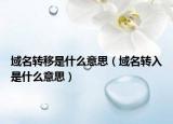 域名轉(zhuǎn)移是什么意思（域名轉(zhuǎn)入是什么意思）