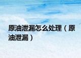 原油泄漏怎么處理（原油泄漏）