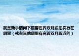 我是新手請問下魔獸世界雙月殿拍賣行在哪里（或者其他哪里有離著雙月殿近的）