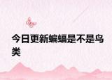 今日更新蝙蝠是不是鳥(niǎo)類