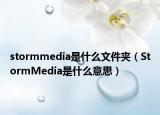stormmedia是什么文件夾（StormMedia是什么意思）