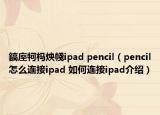 鎬庢牱榪炴帴ipad pencil（pencil怎么連接ipad 如何連接ipad介紹）