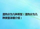 濕熱分為幾種類型（濕熱分為幾種類型詳細(xì)介紹）