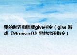 我的世界電腦版give指令（give 游戲《Minecraft》里的常用指令）