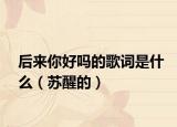 后來你好嗎的歌詞是什么（蘇醒的）