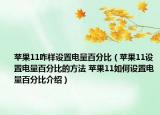 蘋果11咋樣設置電量百分比（蘋果11設置電量百分比的方法 蘋果11如何設置電量百分比介紹）