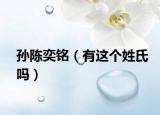 孫陳奕銘（有這個姓氏嗎）