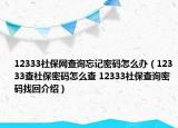 12333社保網(wǎng)查詢(xún)忘記密碼怎么辦（12333查社保密碼怎么查 12333社保查詢(xún)密碼找回介紹）