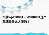車(chē)牌wjd10001（WJ00001這個(gè)車(chē)牌是什么人坐的）